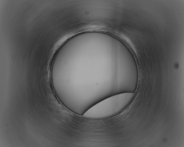 X0000091671419200708231003