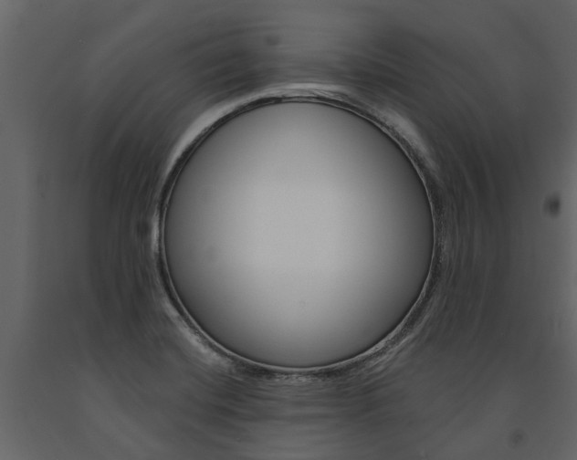 X0000091671420200708231003