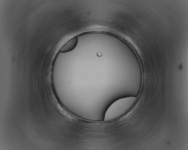 X0000091671421200708231003
