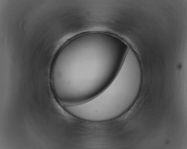 X0000091671422200708231003