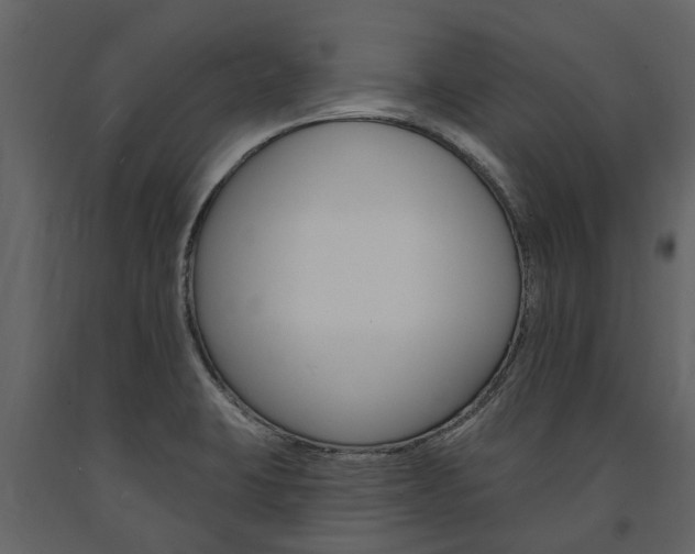 X0000091671423200708231003