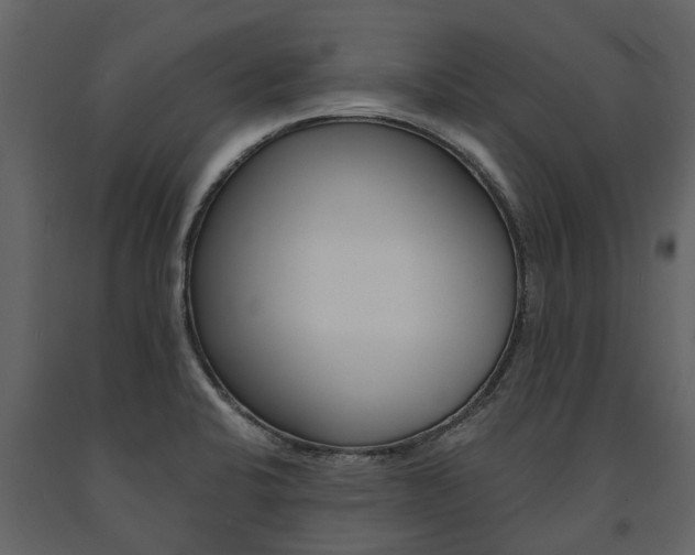 X0000091671424200708231003