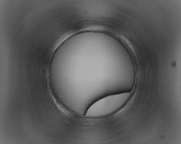 X0000091671425200708231003