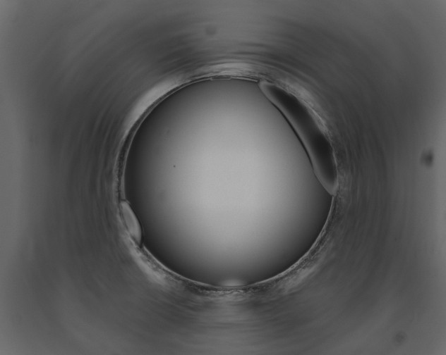 X0000091671426200708231003