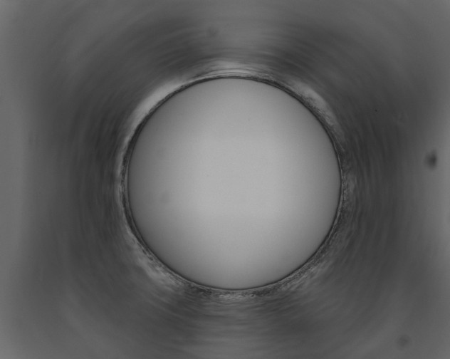 X0000091671427200708231003