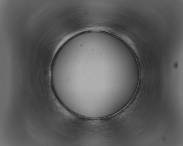 X0000091671428200708231003