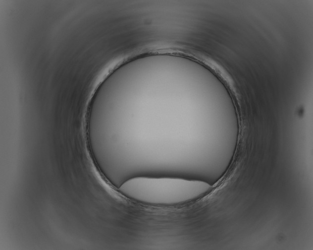 X0000091671429200708231003