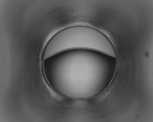 X0000091671430200708231003