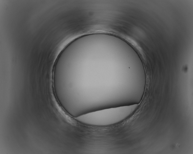 X0000091671431200708231003