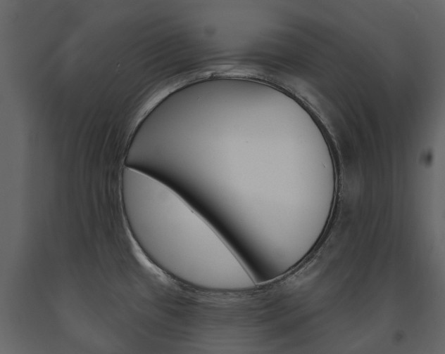 X0000091671433200708231004