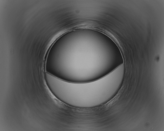 X0000091671434200708231004