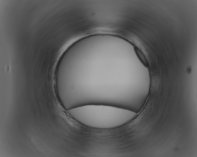 X0000091671435200708231004