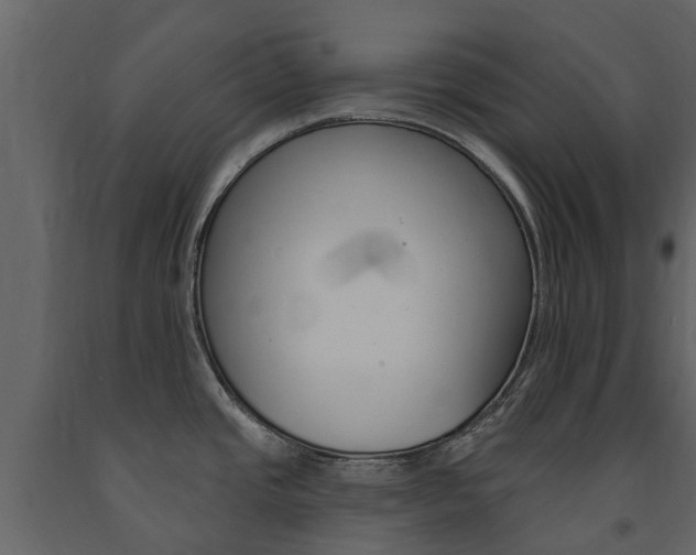 X0000091671437200708231004