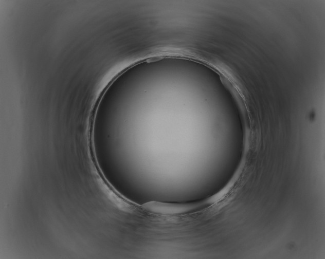 X0000091671438200708231004