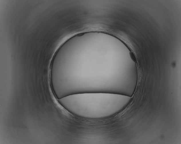 X0000091671439200708231004