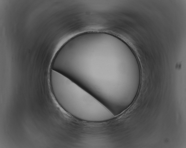 X0000091671440200708231004