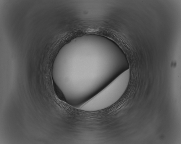 X0000091671441200708231003