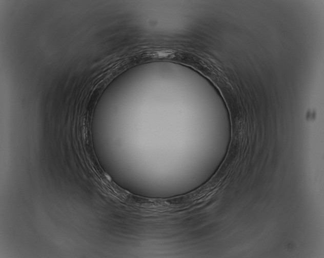 X0000091671442200708231003