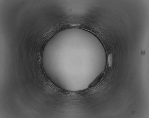 X0000091671443200708231003