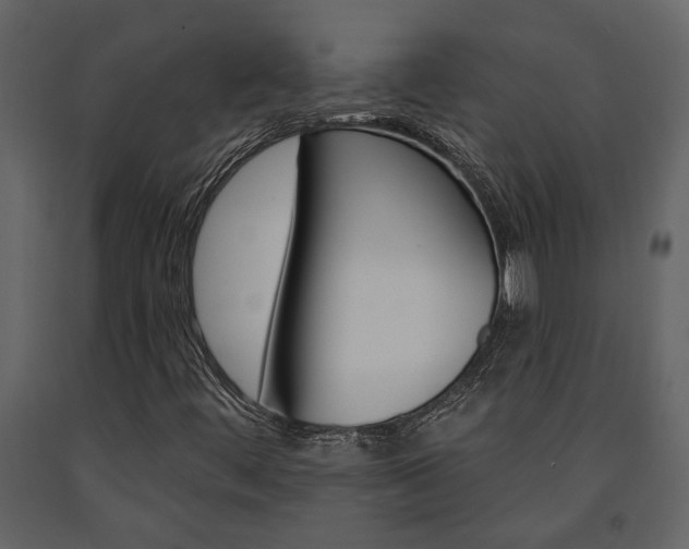 X0000091671444200708231003