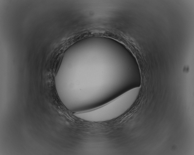 X0000091671445200708231003