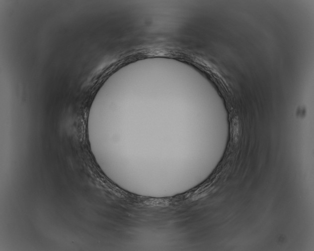 X0000091671446200708231003