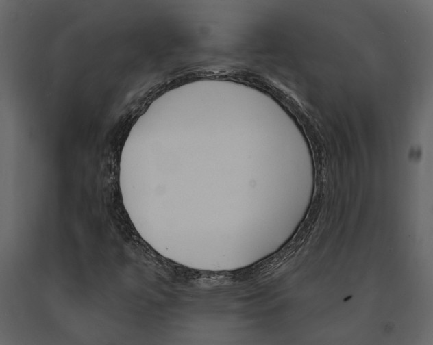 X0000091671447200708231003
