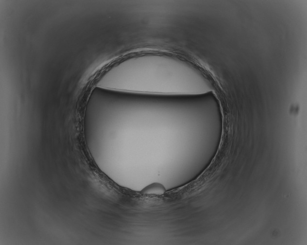 X0000091671448200708231003