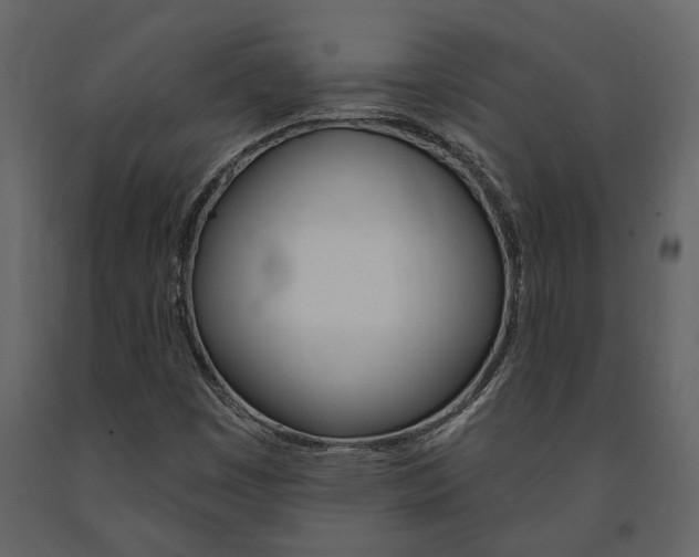 X0000091671449200708231003