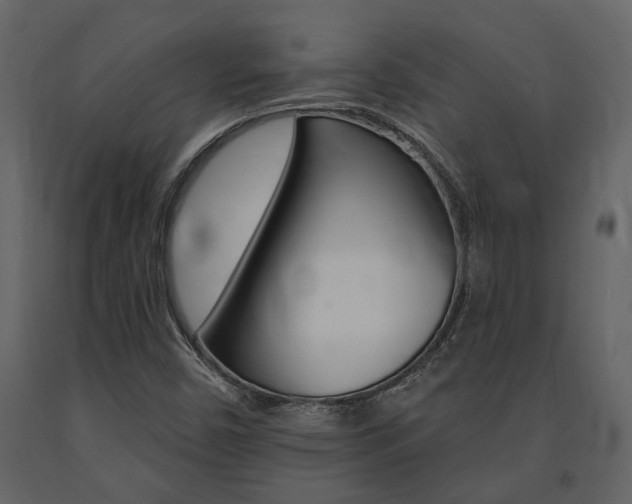 X0000091671450200708231003