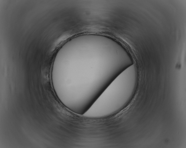 X0000091671451200708231003