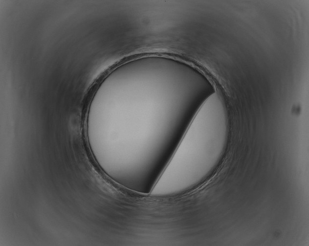 X0000091671452200708231003