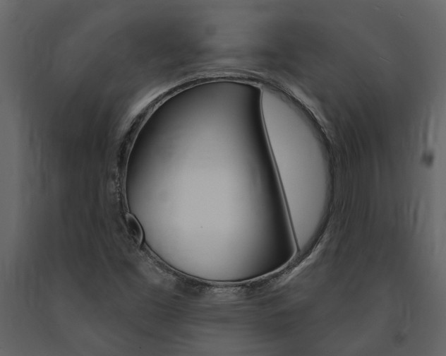 X0000091671453200708231003