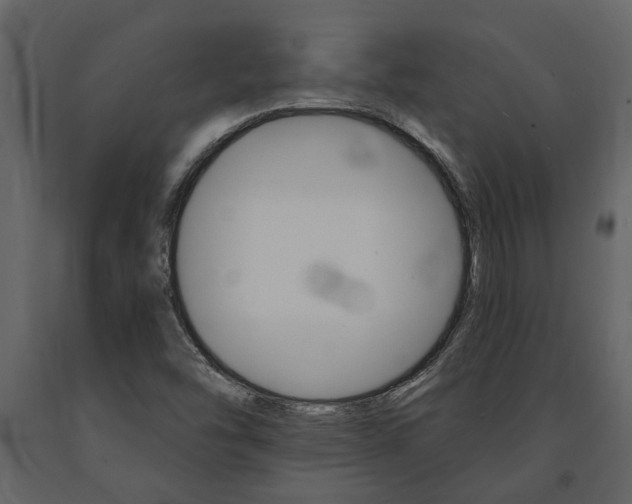 X0000091671454200708231003