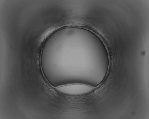 X0000091671455200708231003