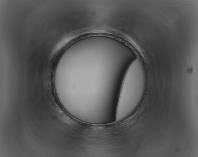 X0000091671456200708231003