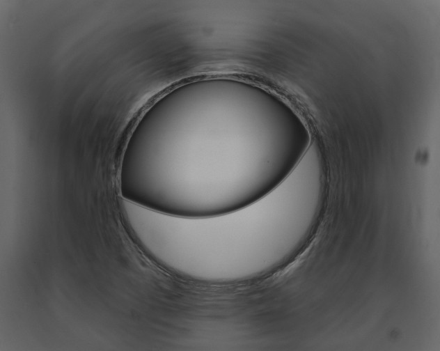 X0000091671457200708231003
