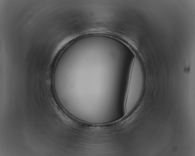 X0000091671458200708231003