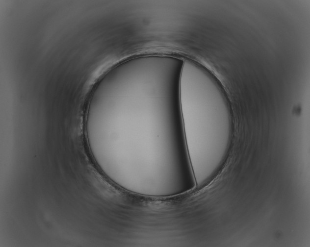 X0000091671459200708231003