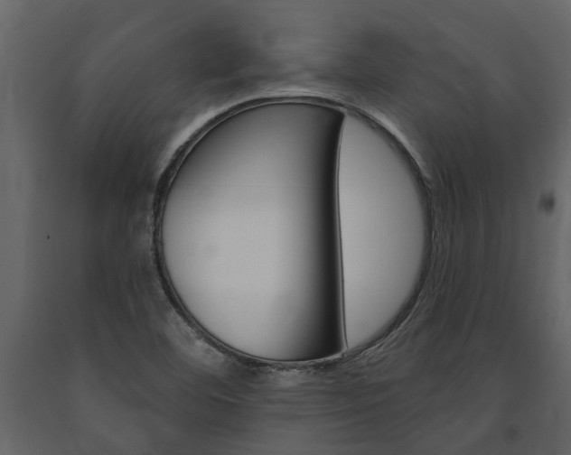 X0000091671460200708231003