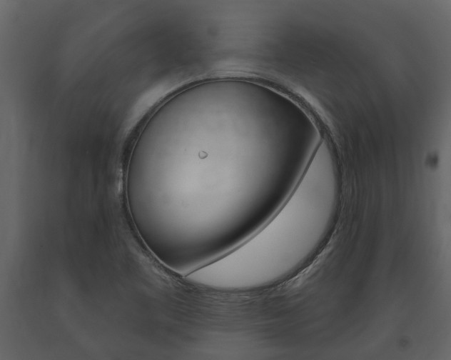 X0000091671461200708231003
