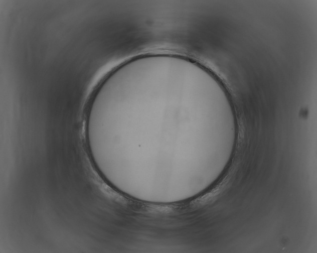 X0000091671462200708231003