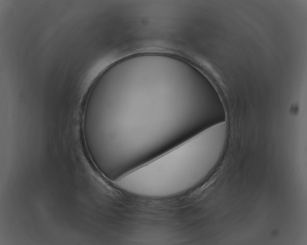 X0000091671463200708231003