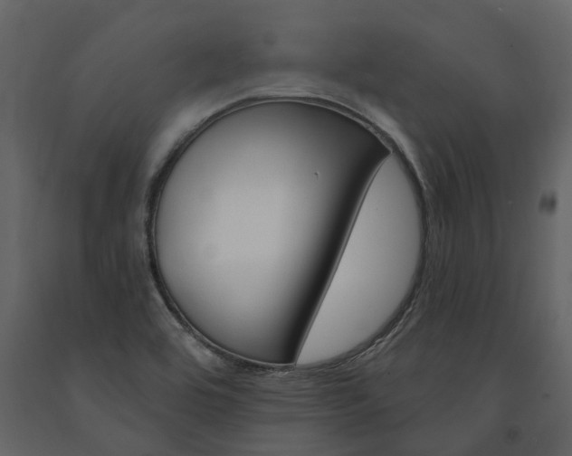 X0000091671464200708231003