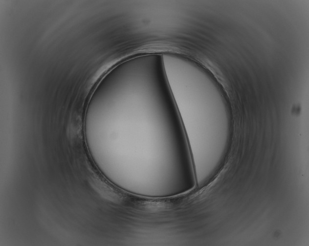 X0000091671465200708231003