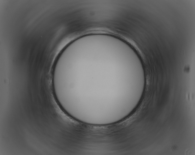 X0000091671466200708231003
