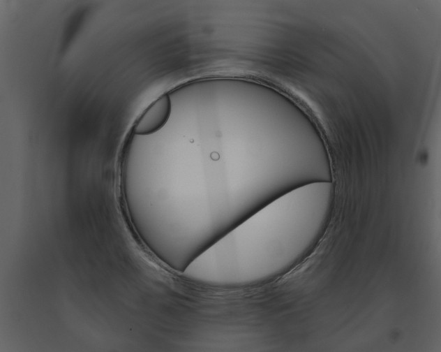 X0000091671467200708231003
