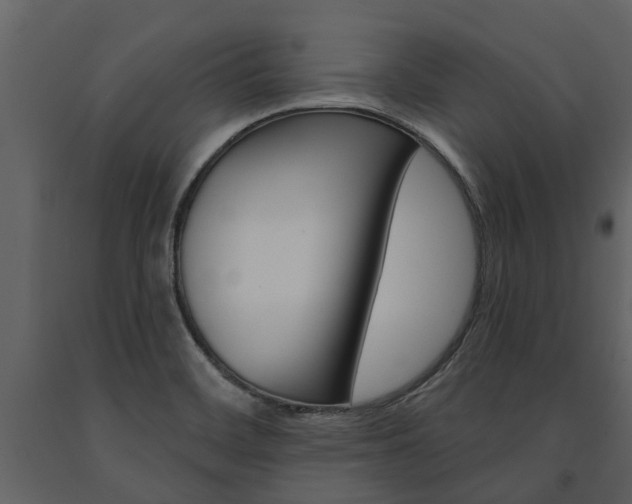 X0000091671468200708231003