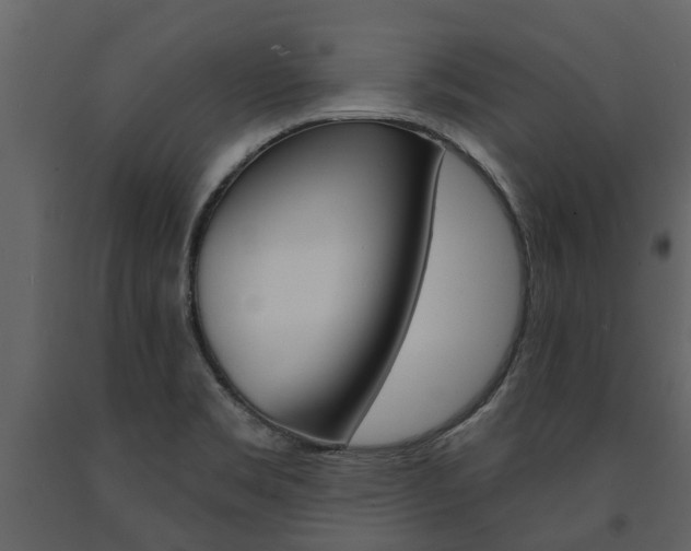 X0000091671469200708231003