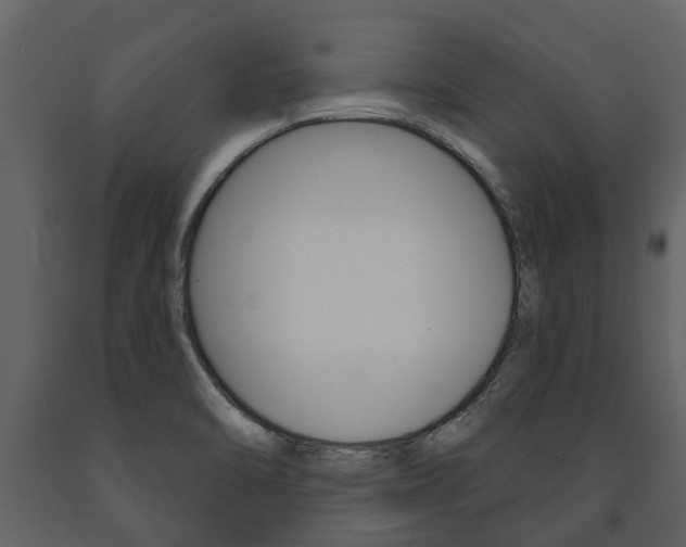 X0000091671470200708231003